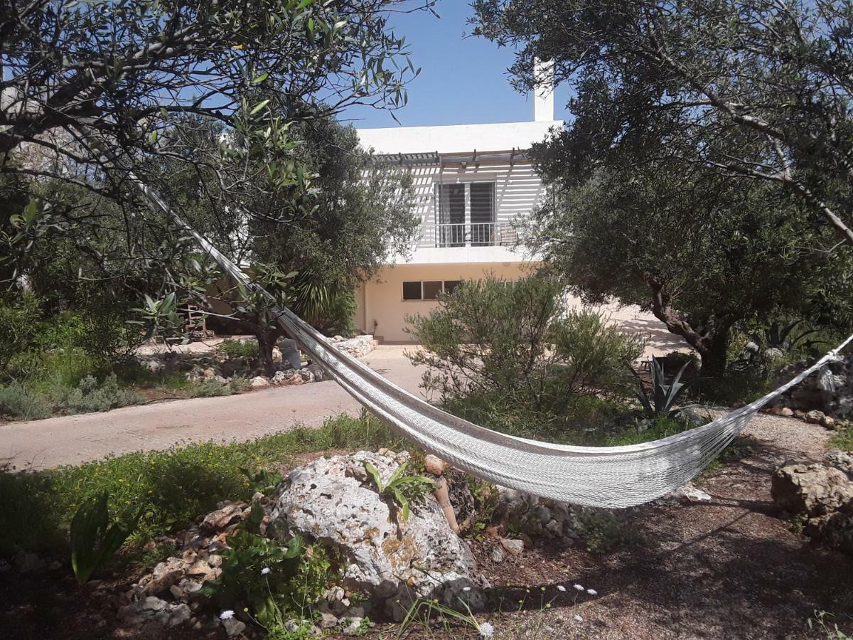 Alpha House Plaka (Apokoronas) Exterior foto